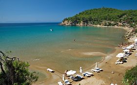Alonissos Beach Bungalows And Suites Hotel